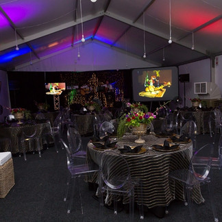 Tada Promotions Gallery